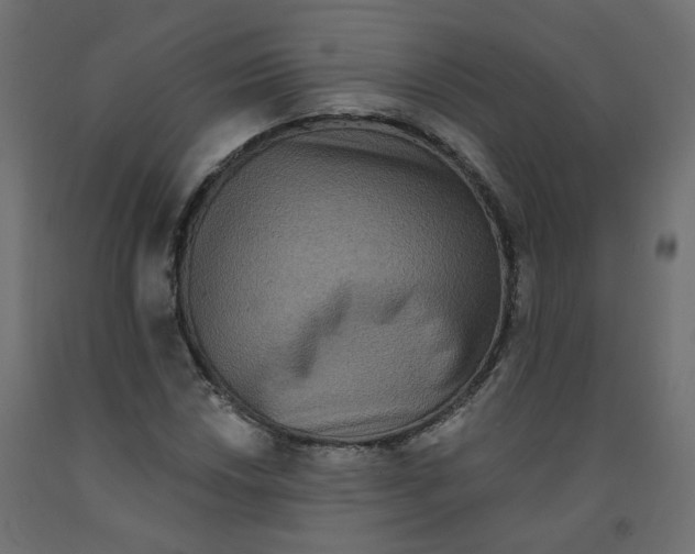 X0000092081018200710101036