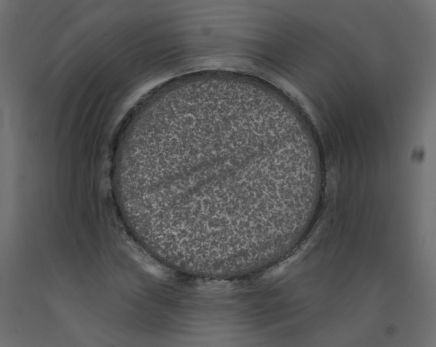 X0000092081019200710101036