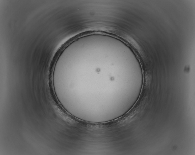 X0000092081020200710101036