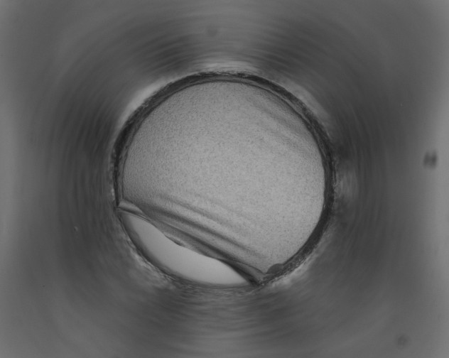 X0000092081022200710101036