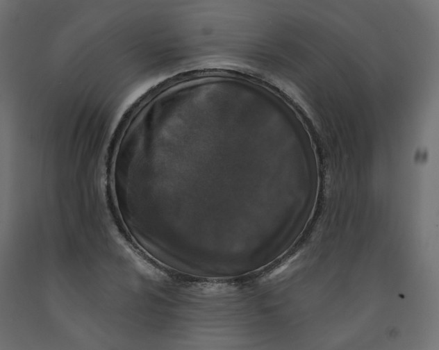 X0000092081024200710101036