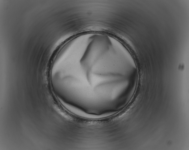 X0000092081026200710101036