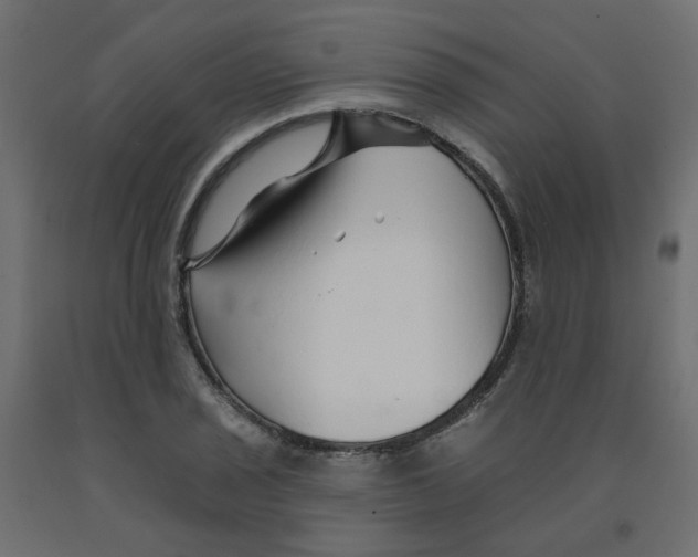 X0000092081029200710101036