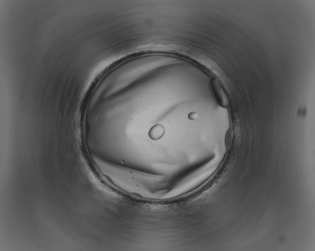 X0000092081030200710101036