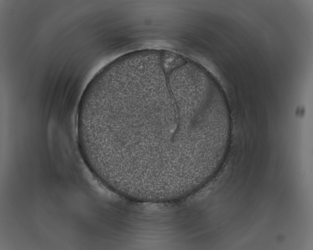 X0000092081032200710101036