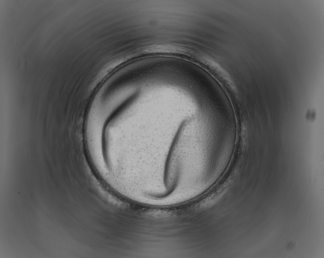 X0000092081033200710101036