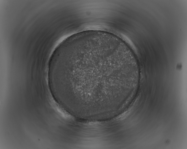 X0000092081035200710101036