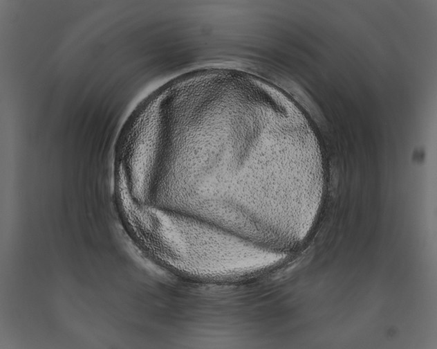 X0000092081036200710101036