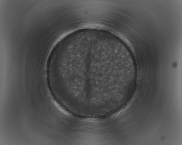 X0000092081037200710101036