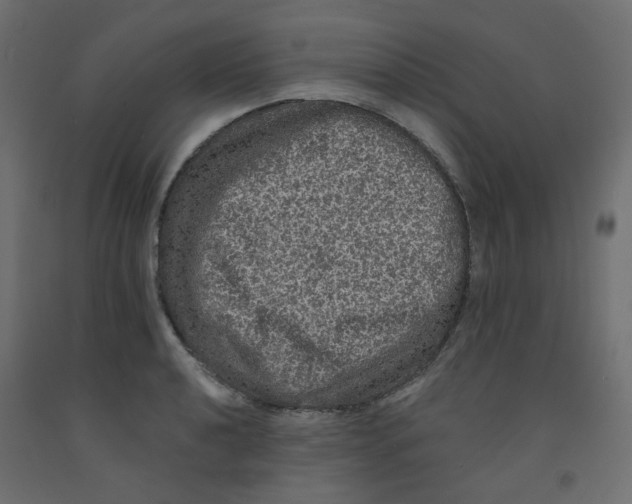 X0000092081040200710101036