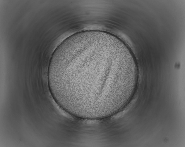 X0000092081041200710101036