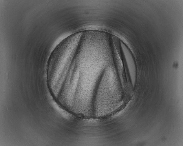 X0000092081042200710101036