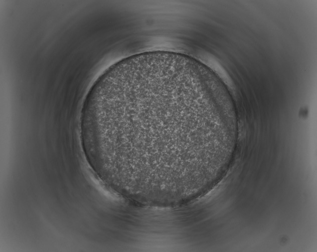 X0000092081043200710101036