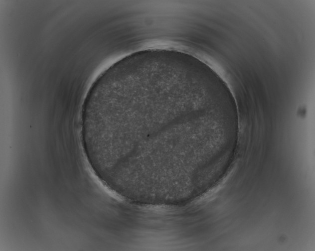 X0000092081045200710101036