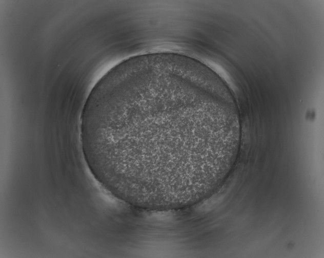 X0000092081047200710101036