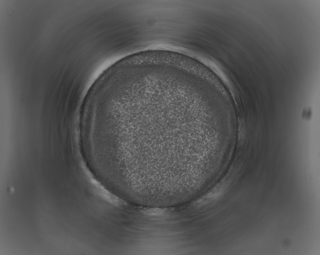 X0000092081048200710101036