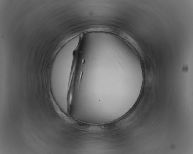 X0000092081049200710101036