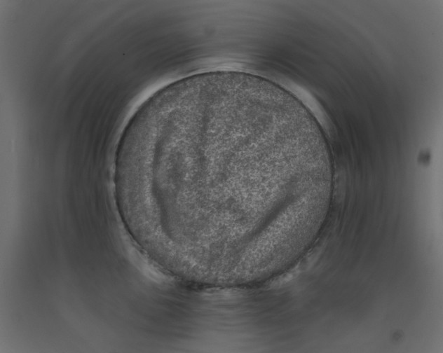 X0000092081051200710101036