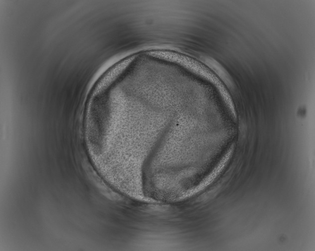 X0000092081052200710101036