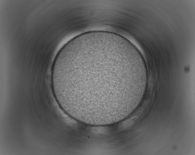 X0000092081053200710101036