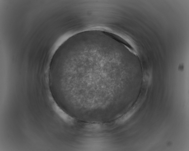 X0000092081054200710101036