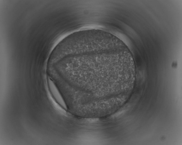 X0000092081055200710101036