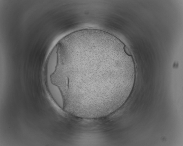 X0000092081056200710101036