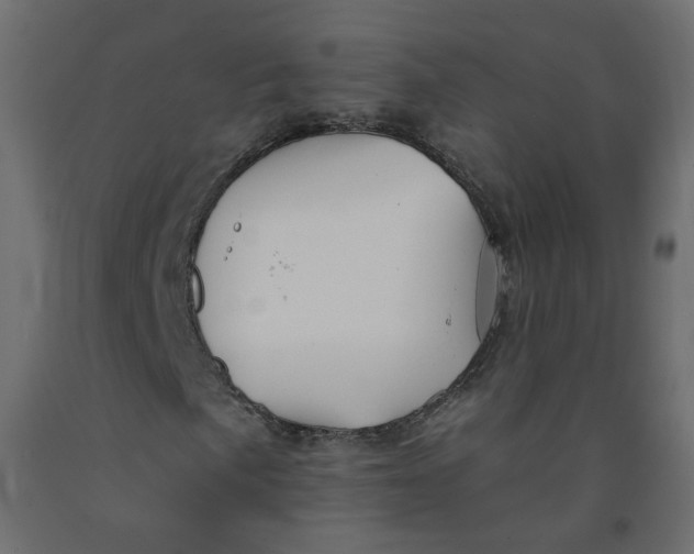 X0000092081057200710101036