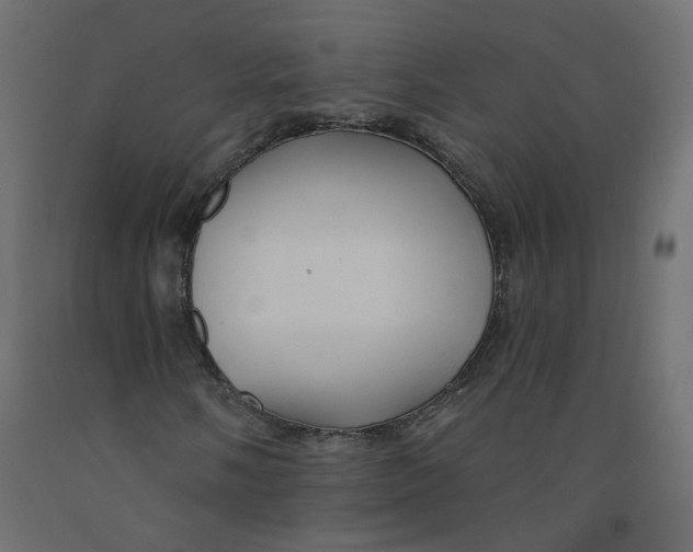 X0000092081058200710101036