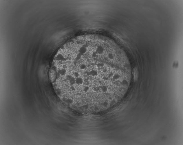 X0000092081059200710101036