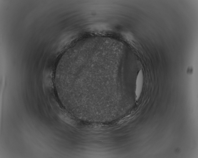 X0000092081060200710101036