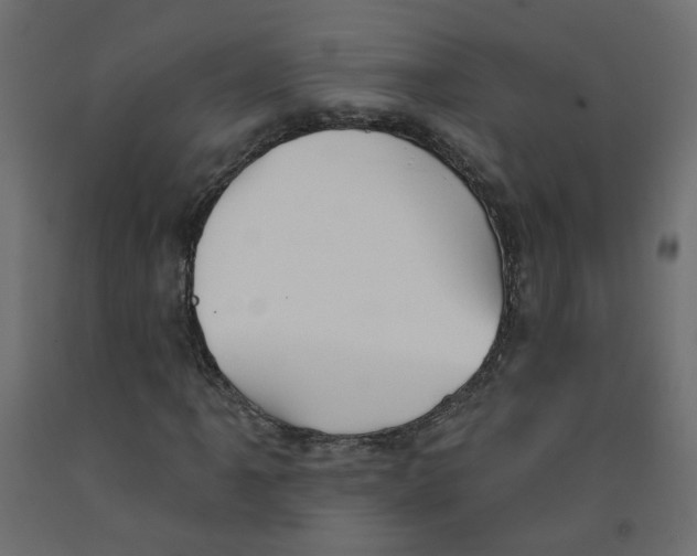 X0000092081061200710101036