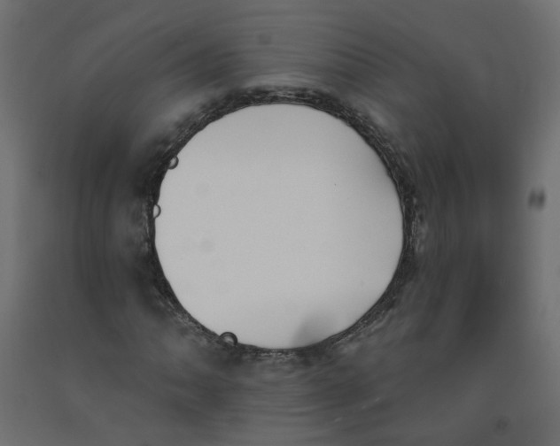 X0000092081062200710101036