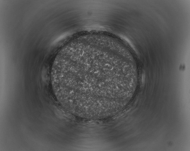 X0000092081063200710101036