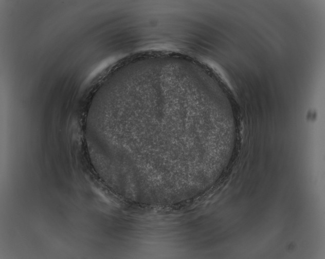 X0000092081064200710101036