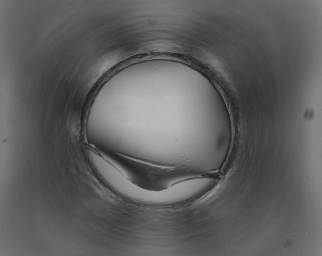 X0000092081065200710101036