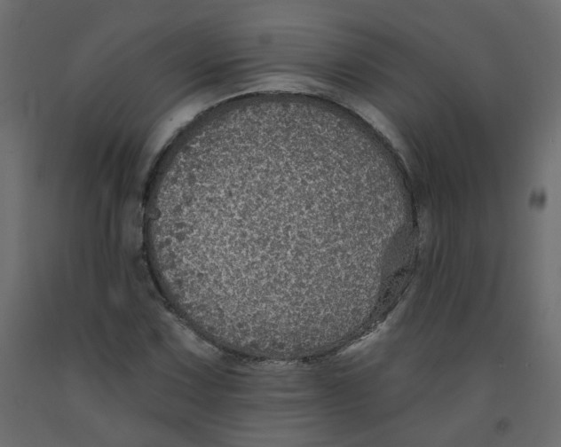 X0000092081067200710101036