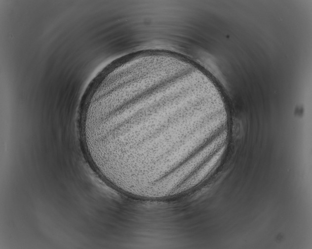 X0000092081068200710101036