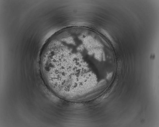 X0000092081071200710101036