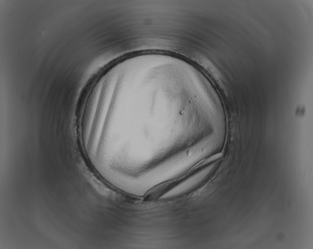 X0000092081072200710101035