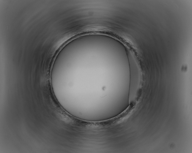 X0000092081073200710101035