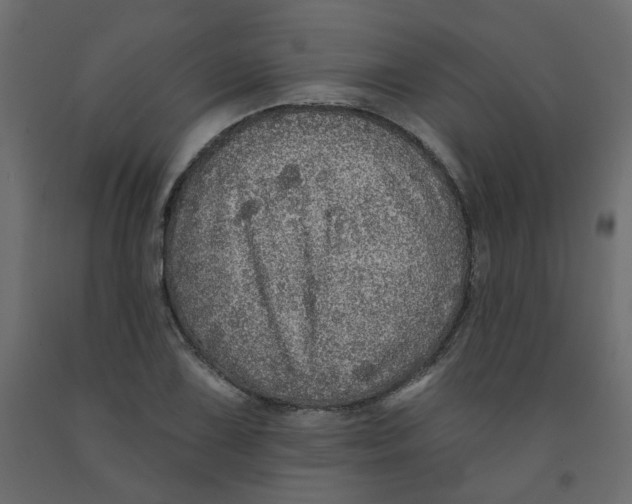 X0000092081075200710101035