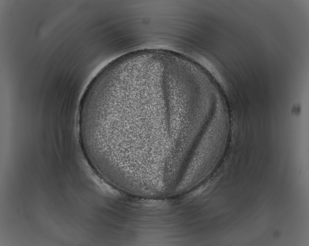 X0000092081076200710101035