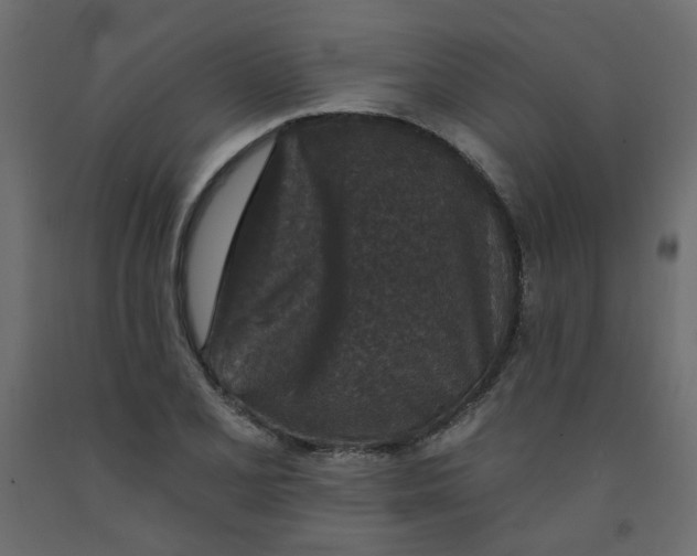 X0000092081077200710101035