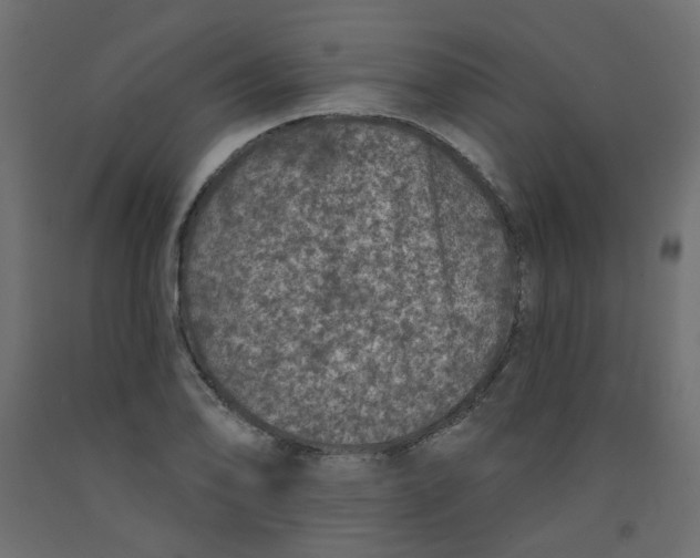 X0000092081078200710101035