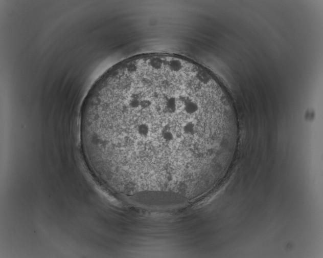 X0000092081079200710101035