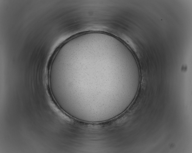 X0000092081080200710101035