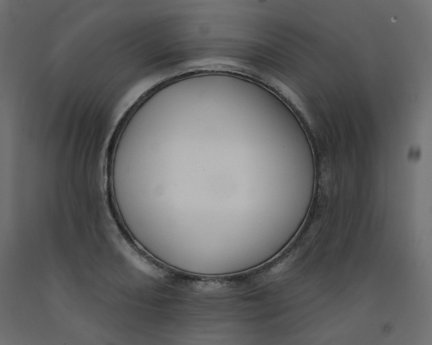 X0000092081082200710101035