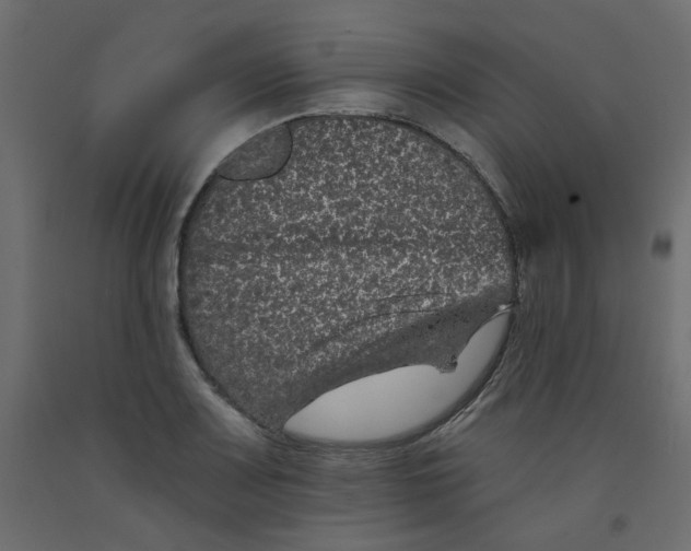 X0000092081083200710101035