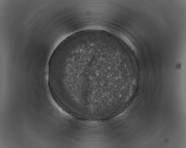 X0000092081084200710101035